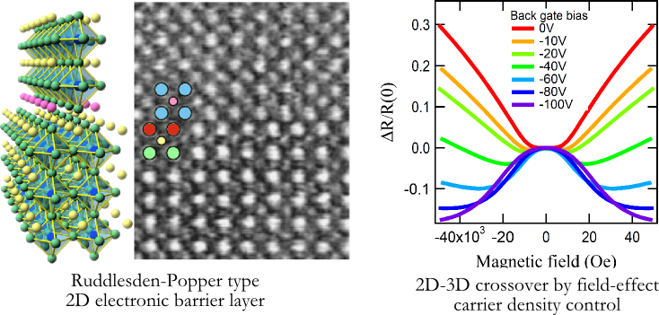 Ruddlesden-Popper interface