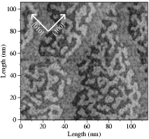 110 nm STM